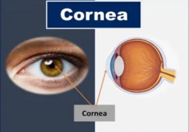 Corneal Problems